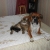 marie0394