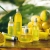 Atelier Beaut Natura Brasil