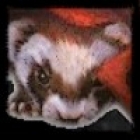 Furet